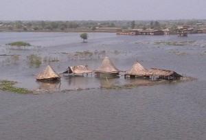 4_Market_place_near_Sanghar_Photo_Fisherfolk_Forum