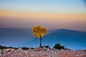 Gorakh hill station, Dadu Sindh (Credit: pak101.com)