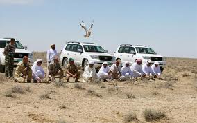 Gulf hunters in Balochistan (Credit: siasat.com)